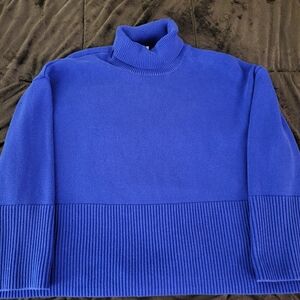 Gap Oversized Blue Sweater: Worn